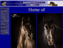 Tablet Screenshot of americanquarterhorses.de